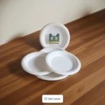 Disposable Bagasse with 1 Compartments 7 inch Dinner Plate  (Pack of 10)